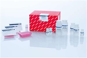 74171 | RNeasy 96 QIAcube HT Kit (5)